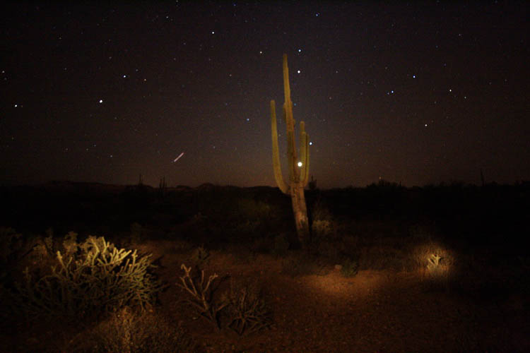 Leonid Meteor Shower